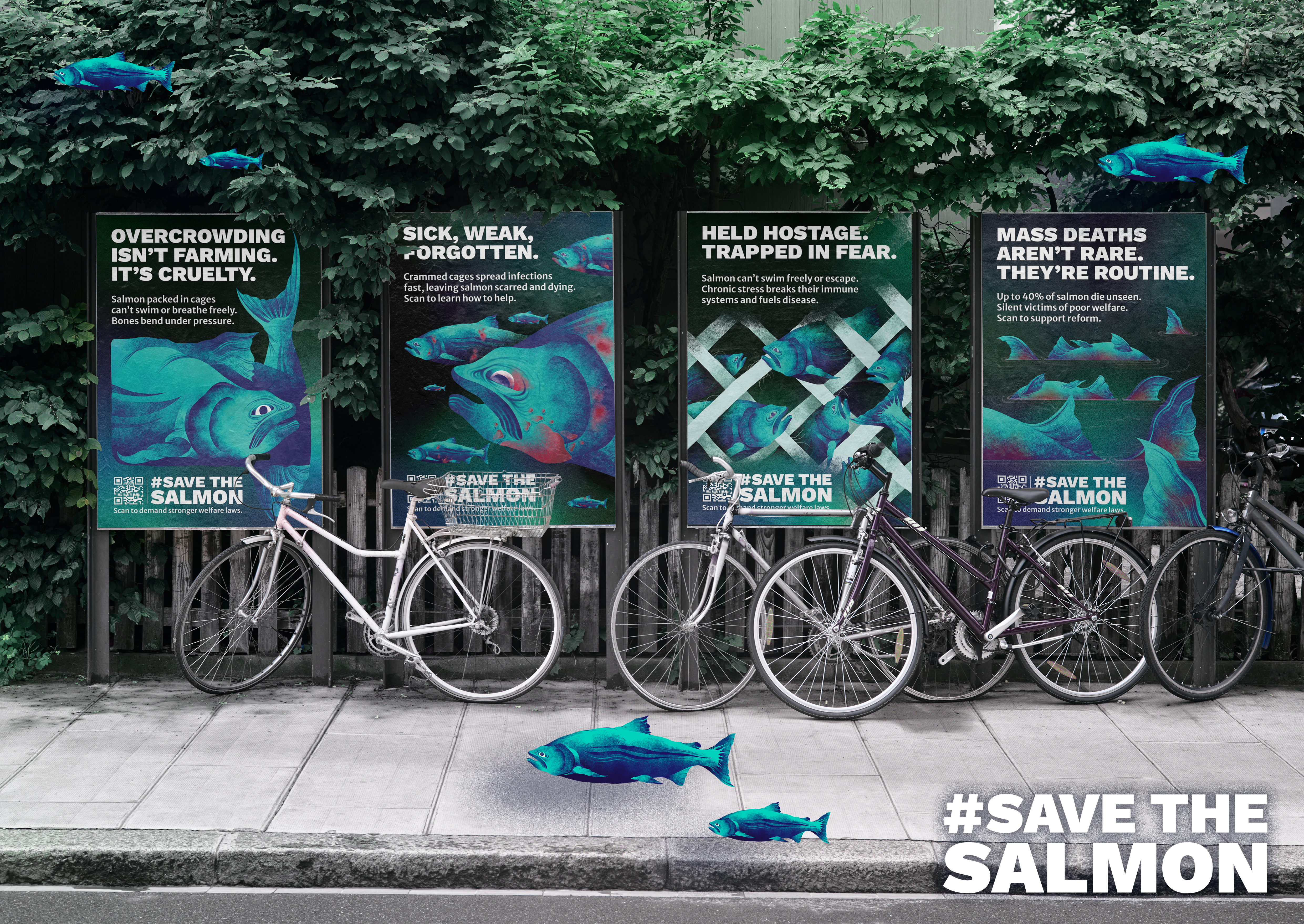 #SaveTheSalmon project imagery